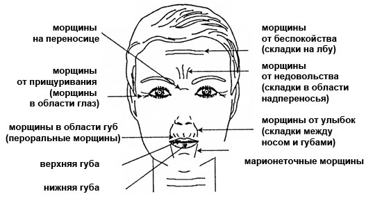 Залом между бровями физиогномика